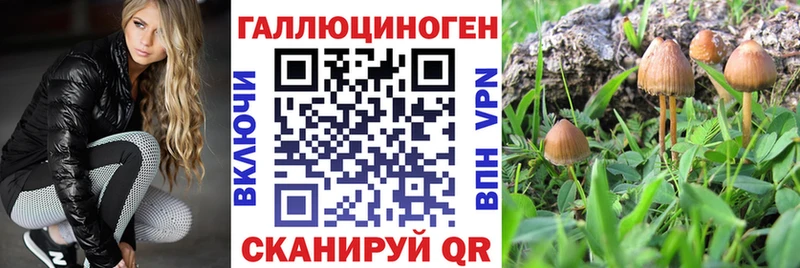 где найти   Верхняя Пышма  Галлюциногенные грибы Psilocybine cubensis 