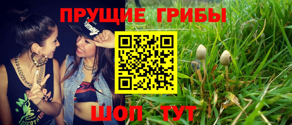  КОКАИН Верхняя Пышма