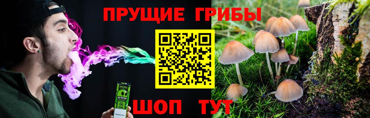 Галлюциногенные грибы MAGIC MUSHROOMS  Псилоцибиновые грибы Psilocybe  Верхняя Пышма 