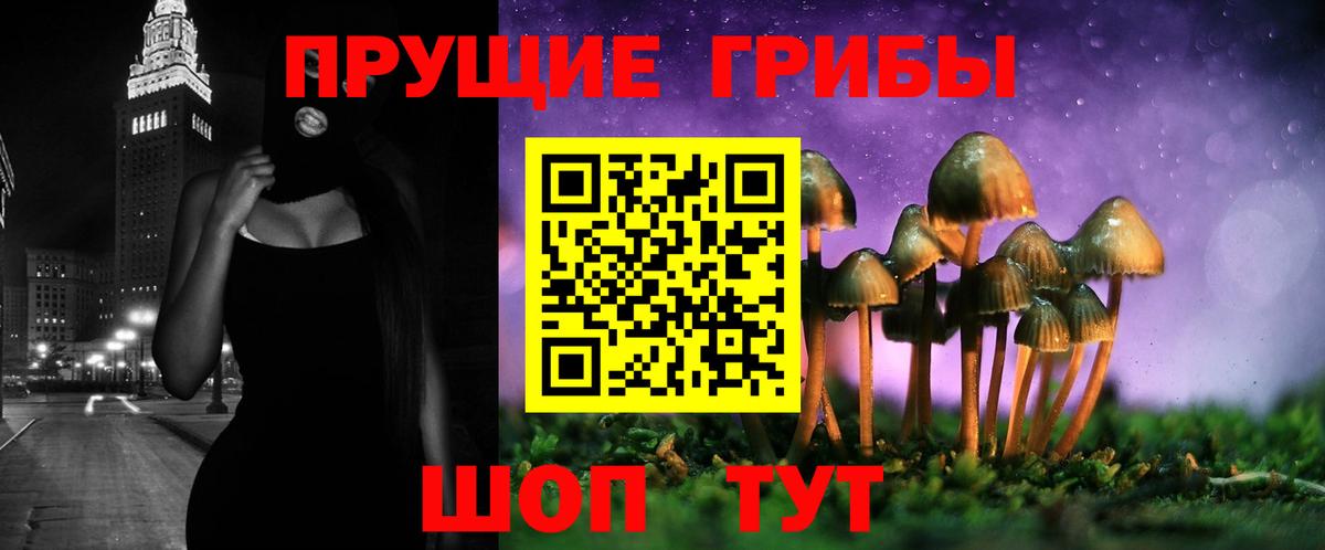 Псилоцибиновые грибы Magic Shrooms Верхняя Пышма